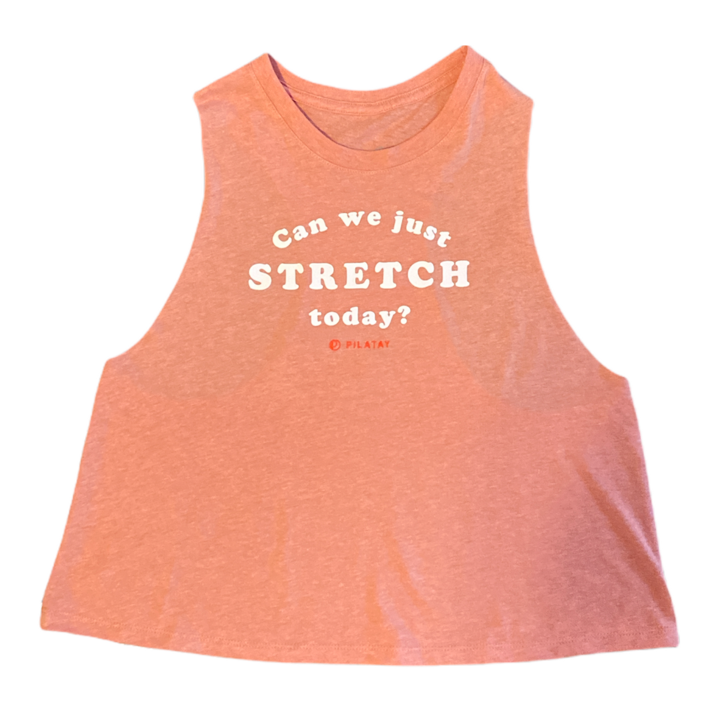 Can We Just Stretch Today? Crop Top